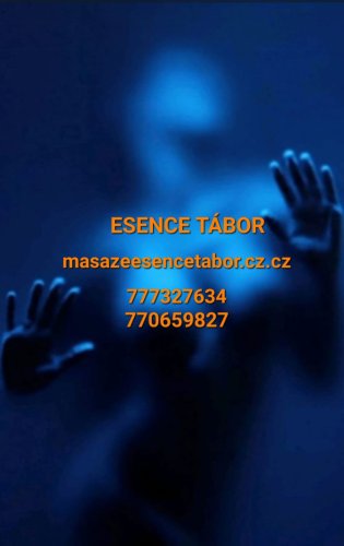 ANNA NOVINKA JEN ČT 4.12.