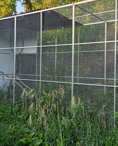 Mamka, dcera sobota akce